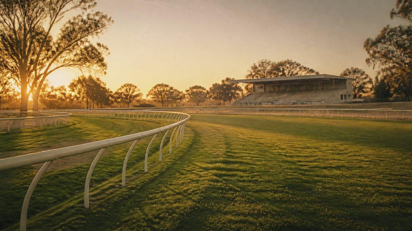 A racecourse grandstand and turf track